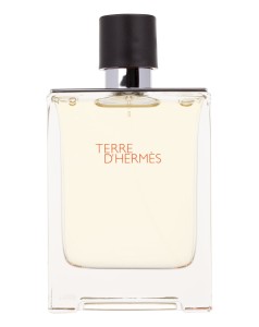 Hermes Terre d'Hermes Woda toaletowa 100ml