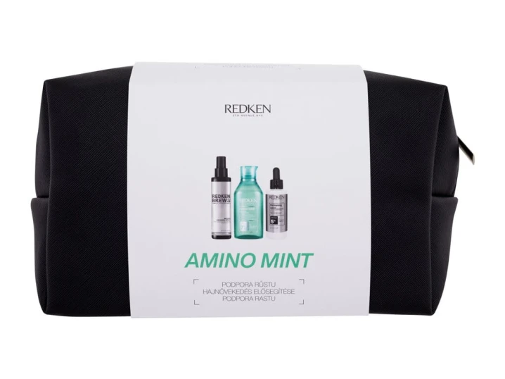Zestaw Redken Amino-Mint Szampon Amino-Mint 300ml + spray do włosów 125ml + kuracja do włosów 90ml + kosmetyczka