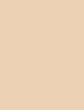 Clarins Ombre Skin Intense Color Powder Eyeshadow Cienie do powiek 1,5g - 01 Matte Ivory