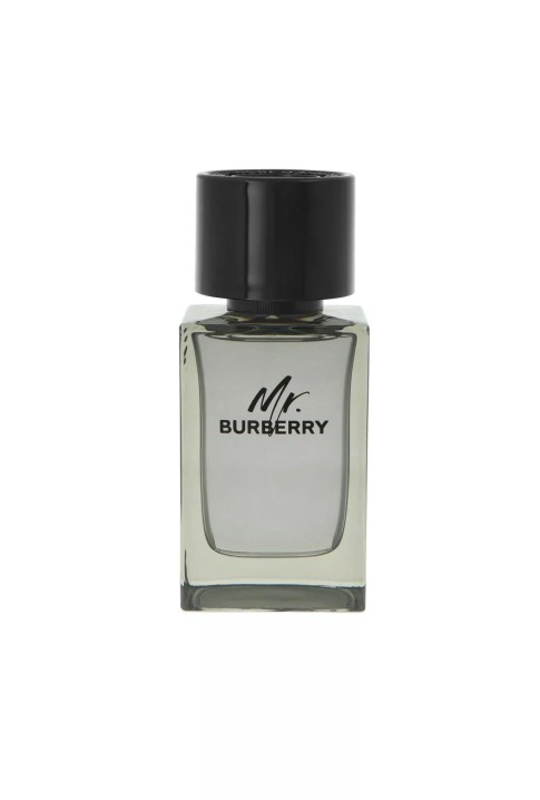 Burberry Mr. Burberry Woda Toaletowa 100ml