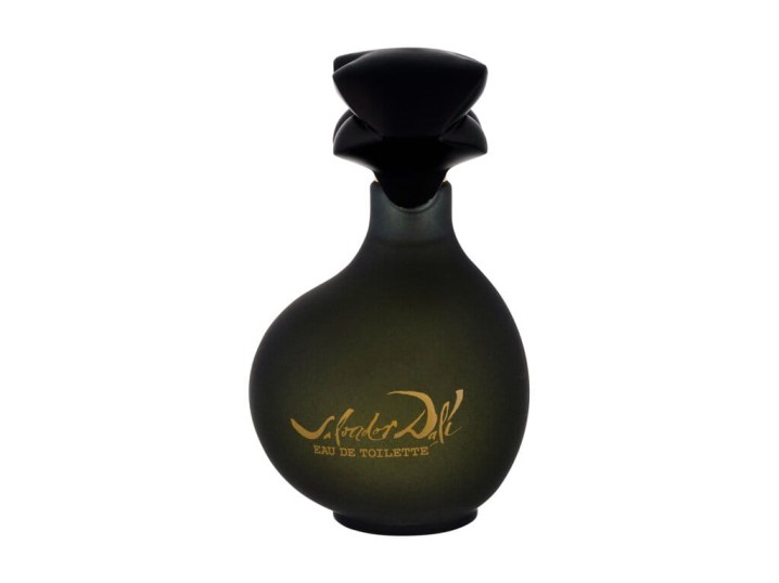 Salvador Dali Pour Homme Woda toaletowa 100ml
